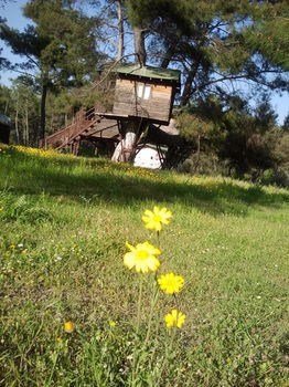 Olympos Woods - Adults Only Hotel Adrasan