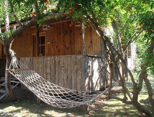 Holiday park Turkmen Tree 3*