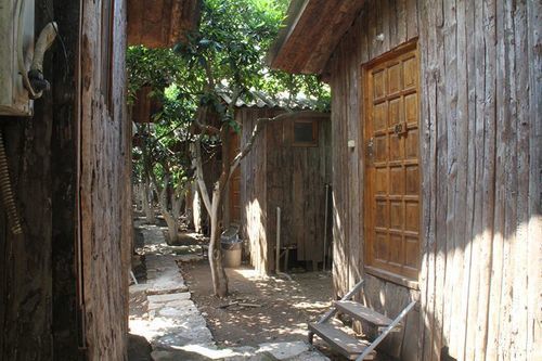 Holiday park Turkmen Tree