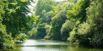 Tranquilla River - Adults Only Hotel Agva (Marmara)