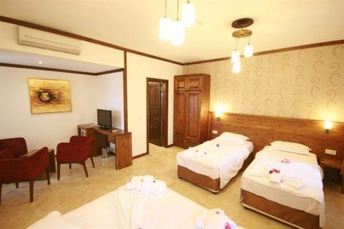 Hotel Orcey 3*