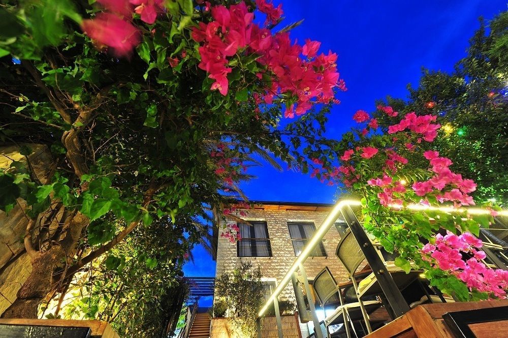 Gizia 5 Guest house *