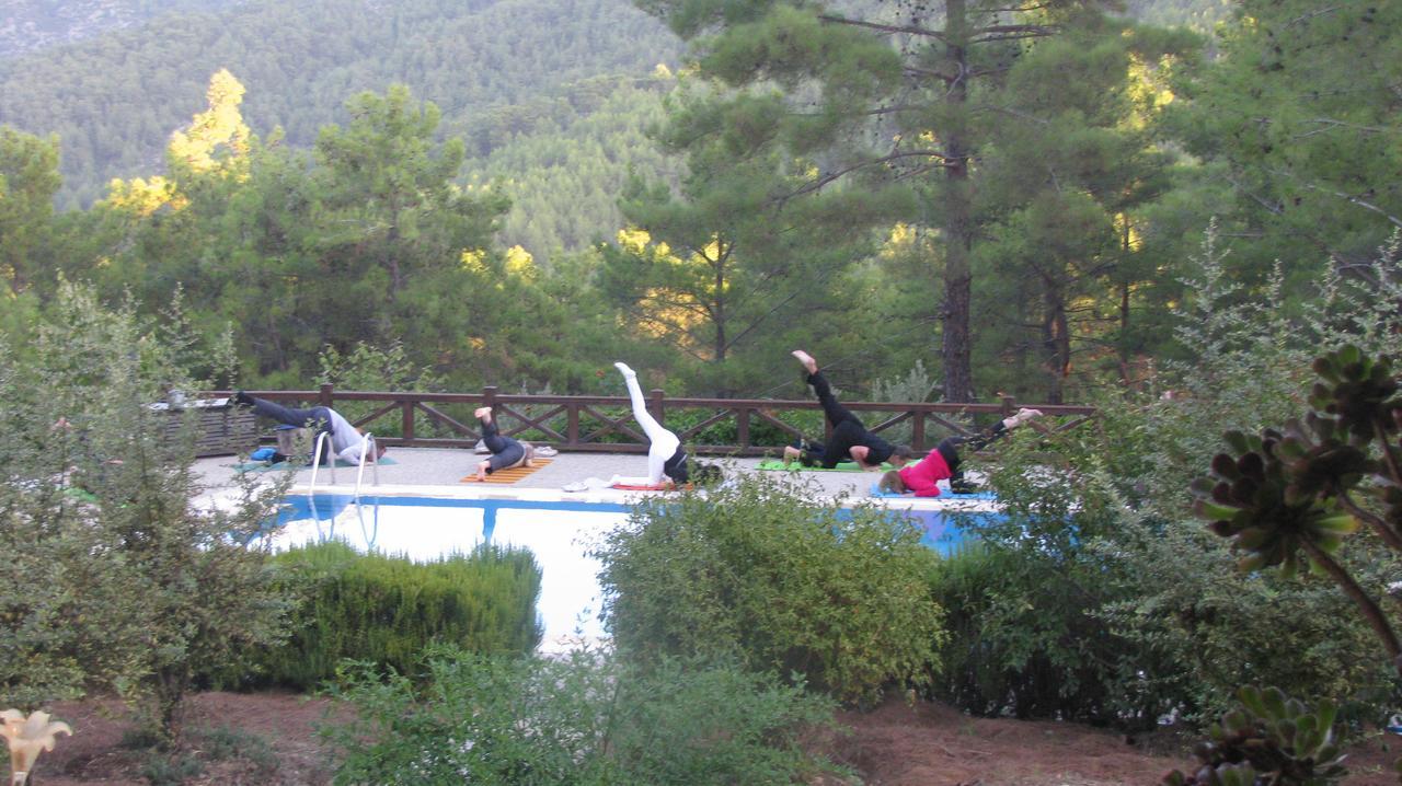 Dikencik * Uzumlu (Aegean)