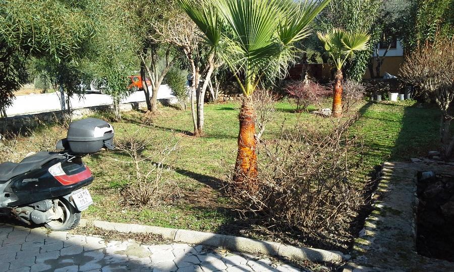 Almond Grove A4 Fethiye