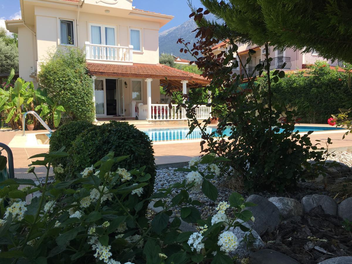Villa Fish