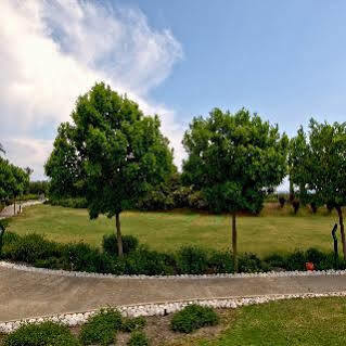 Tt Palace Sarigerme