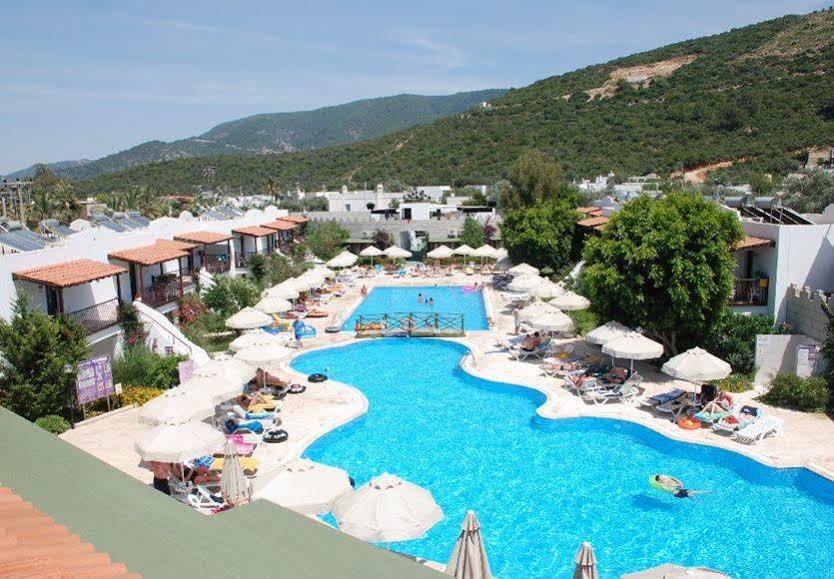 Izer Club 4* Torba