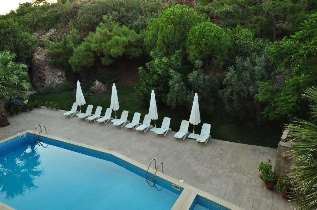 Bed & Breakfast Palm Court Ayvalik