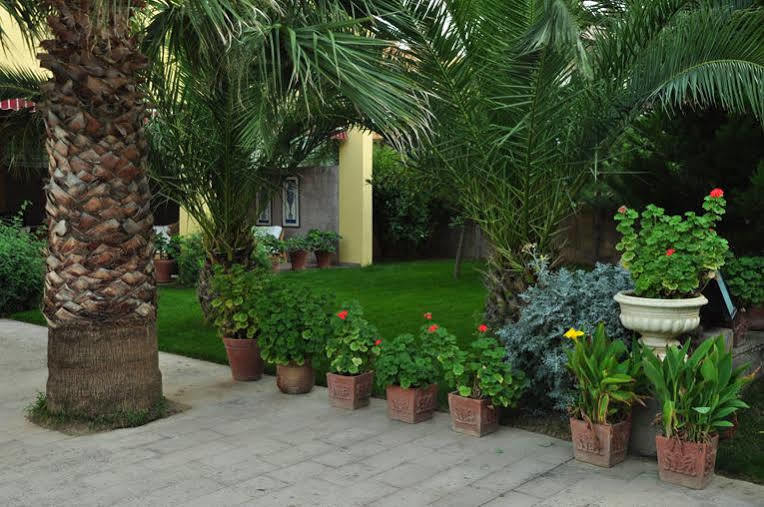 Bed & Breakfast Palm Court