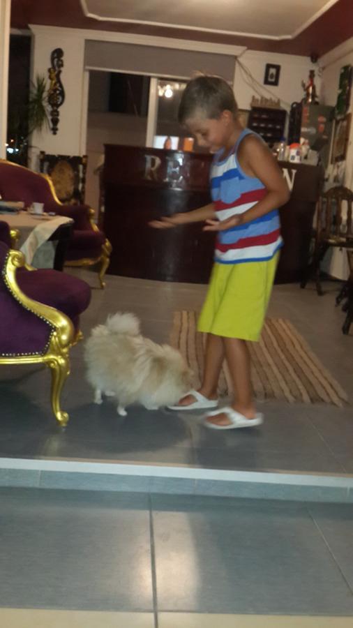Hotel Merve Park Bitez
