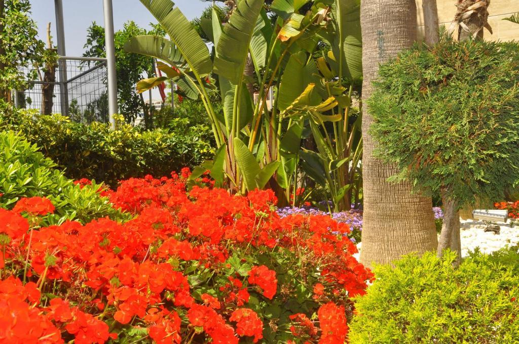 Hotel Mirador & Spa