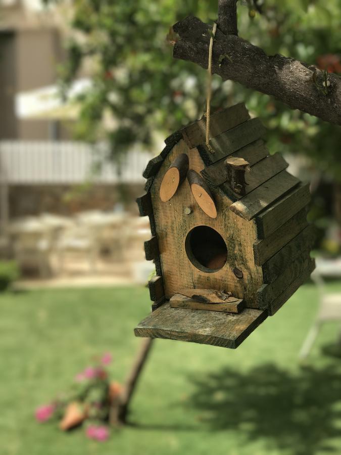 Grandma's Garden