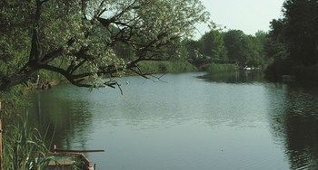 Tranquilla River - Adults Only