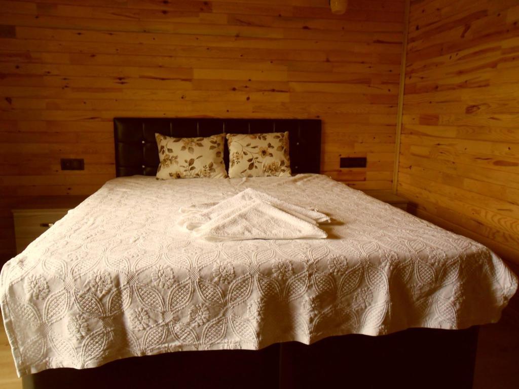 Guest house Cesur Pansiyon 2*