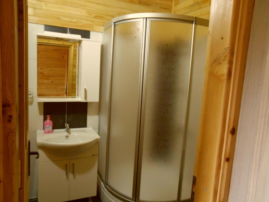 Cesur Pansiyon Guest house 2*