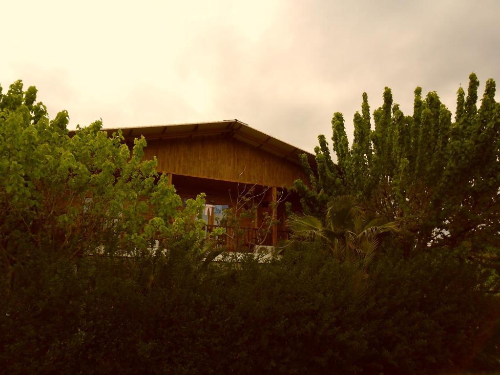 Cesur Pansiyon Guest house Cirali