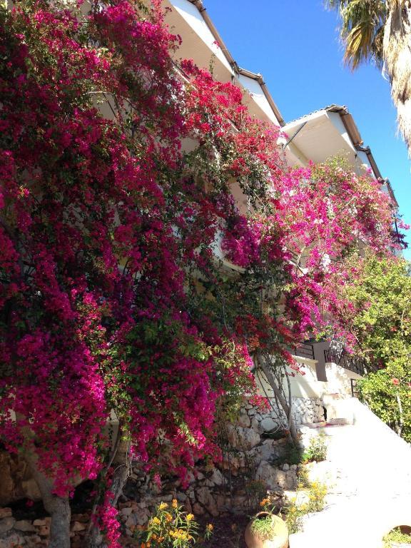 Pataros Hotel Hotel 2*