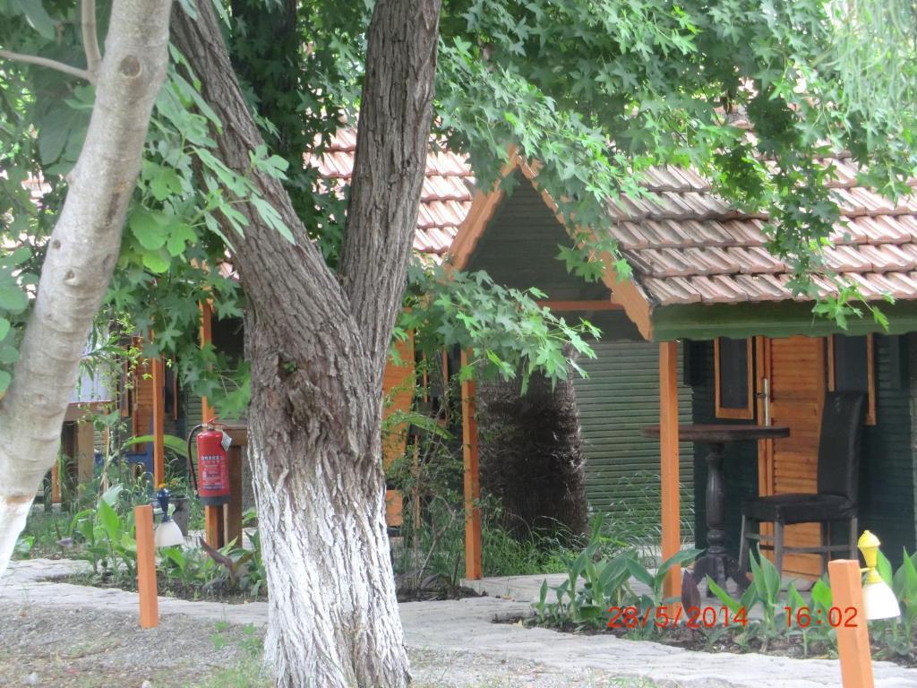 Camping Lodge *