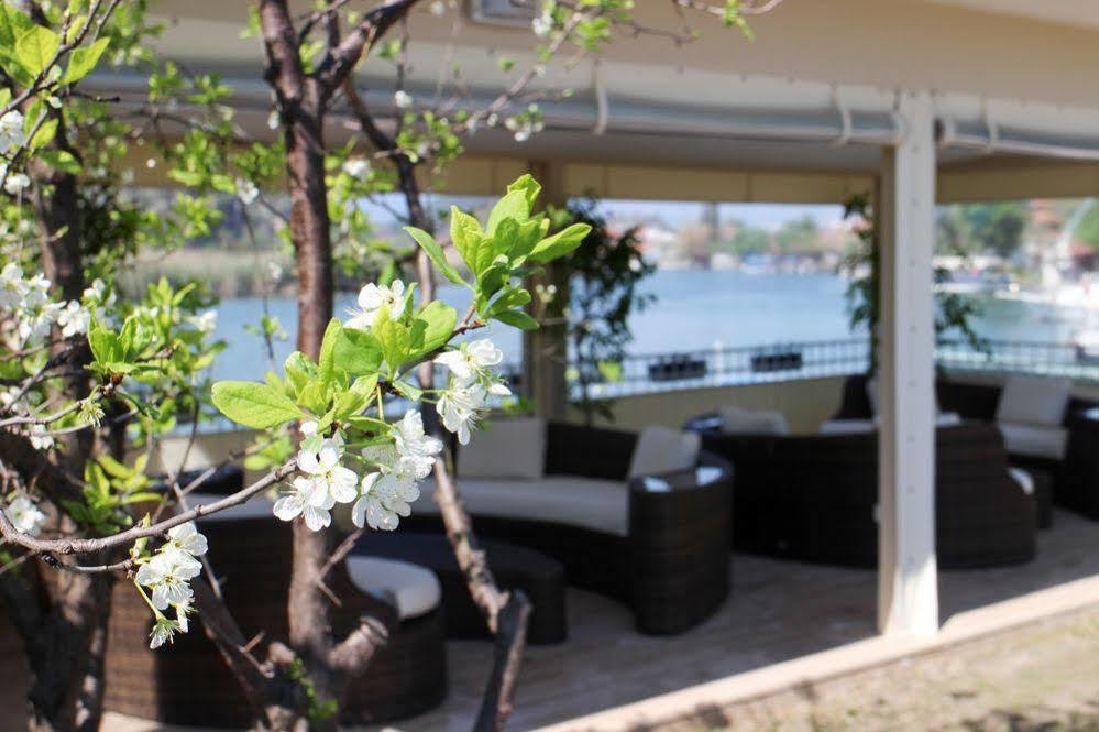 Arp 2* Dalyan