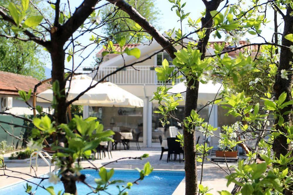 Hotel Arp 2*