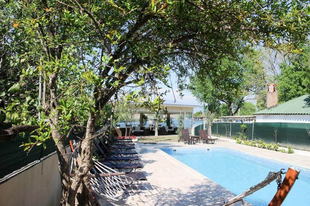 Arp 2* Dalyan