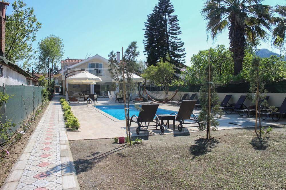 Hotel Arp 2*