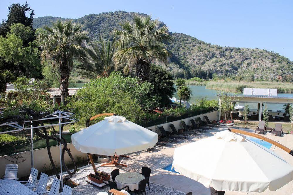Arp 2* Dalyan