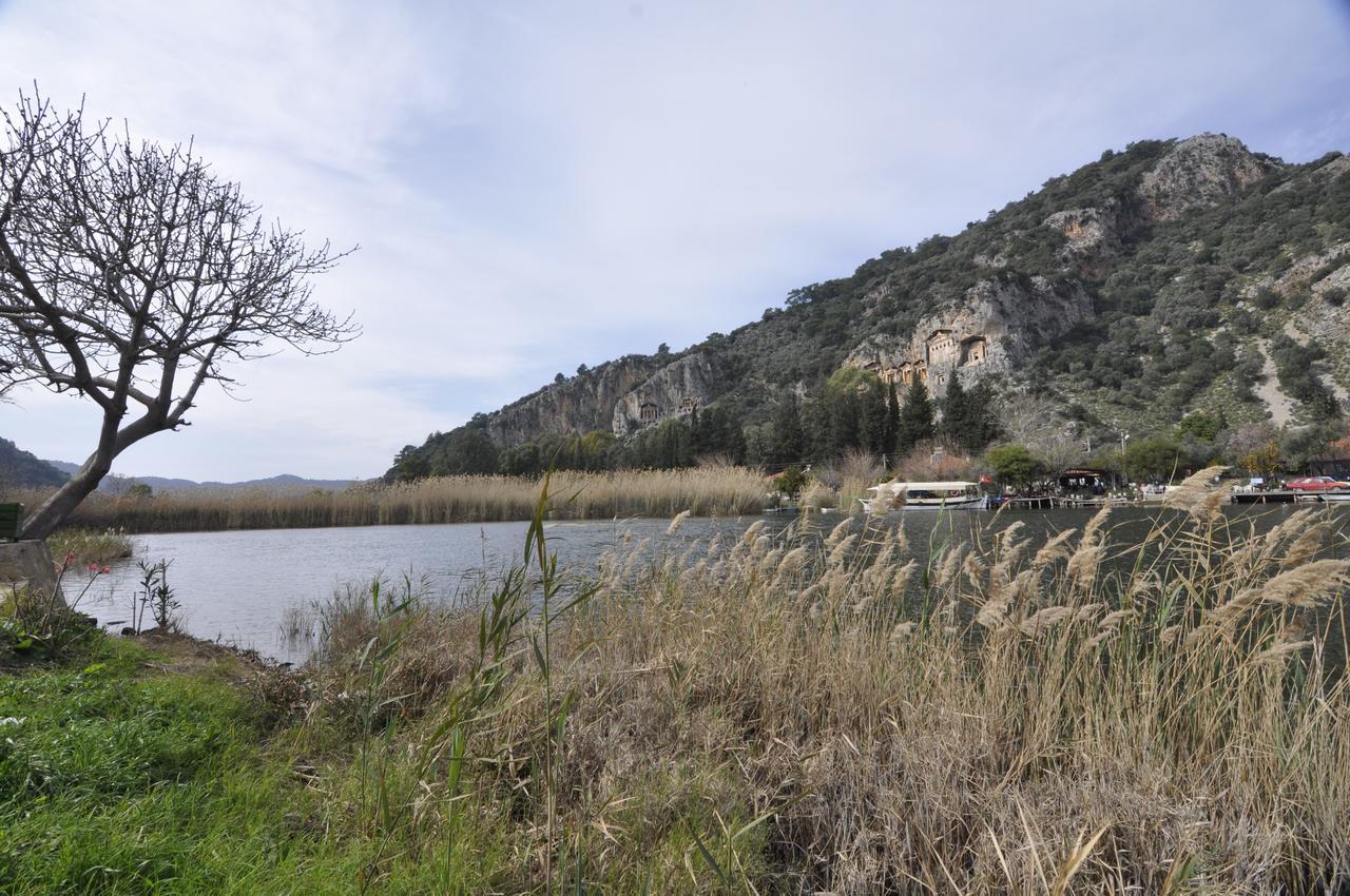 Live Dalyan