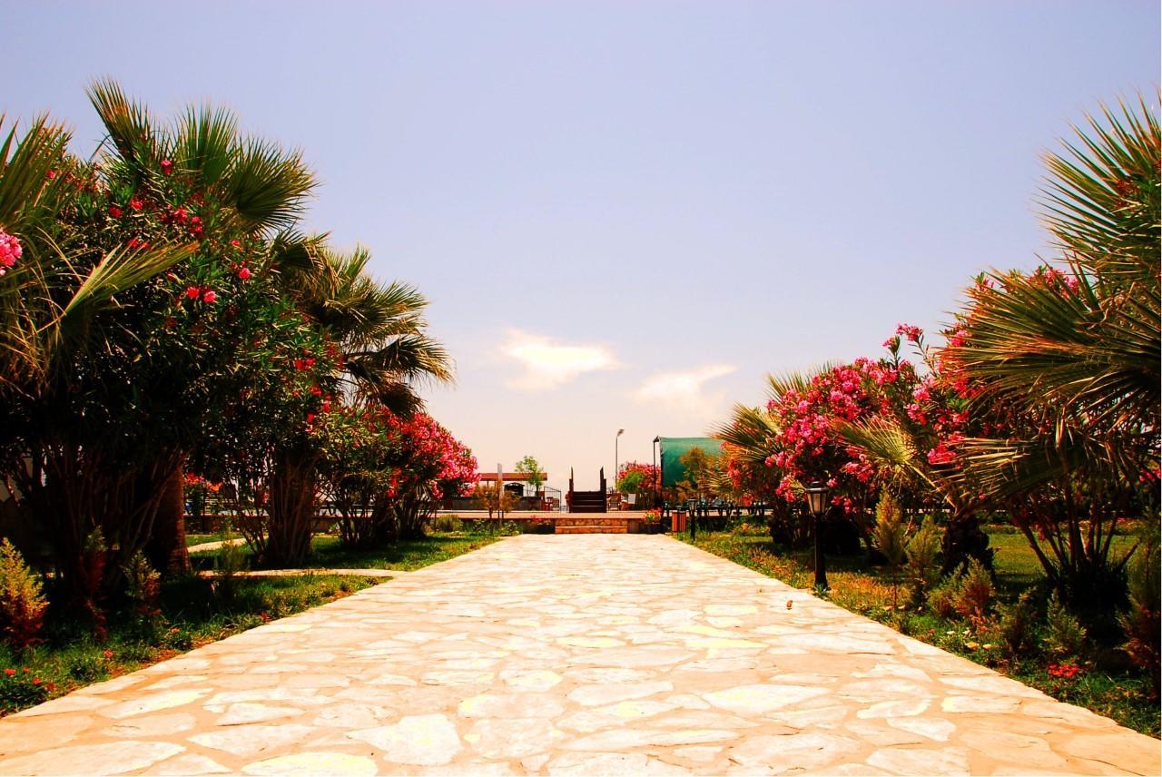 Resort Angora