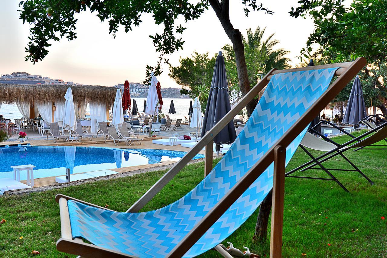 Moon Beach *