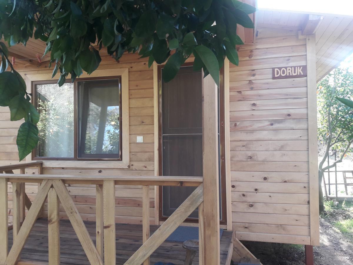 Campsite Halil Cirali