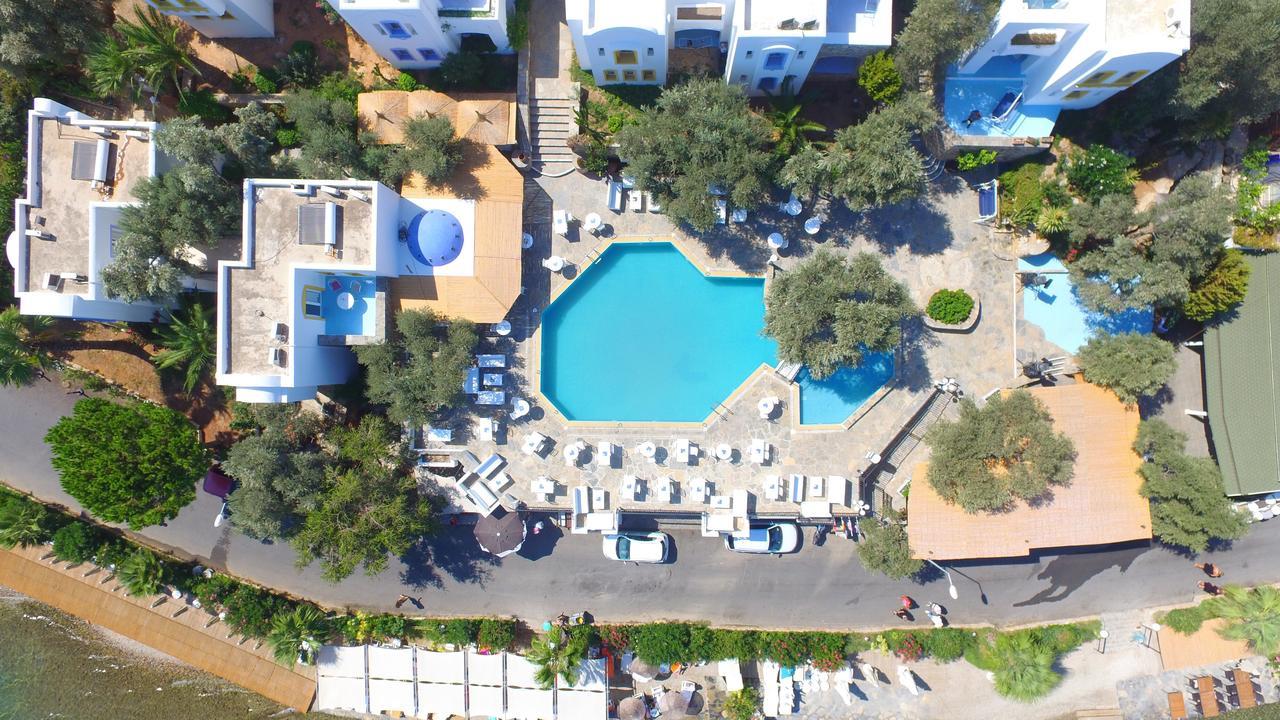 Hotel Omar &