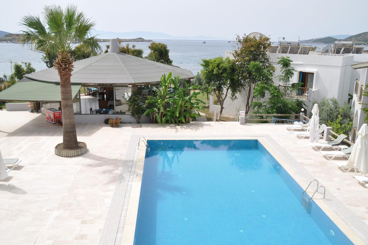 Cove 2*