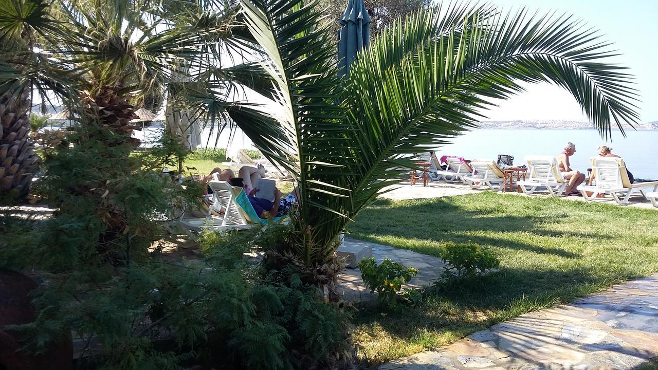 Polat Riva 3*