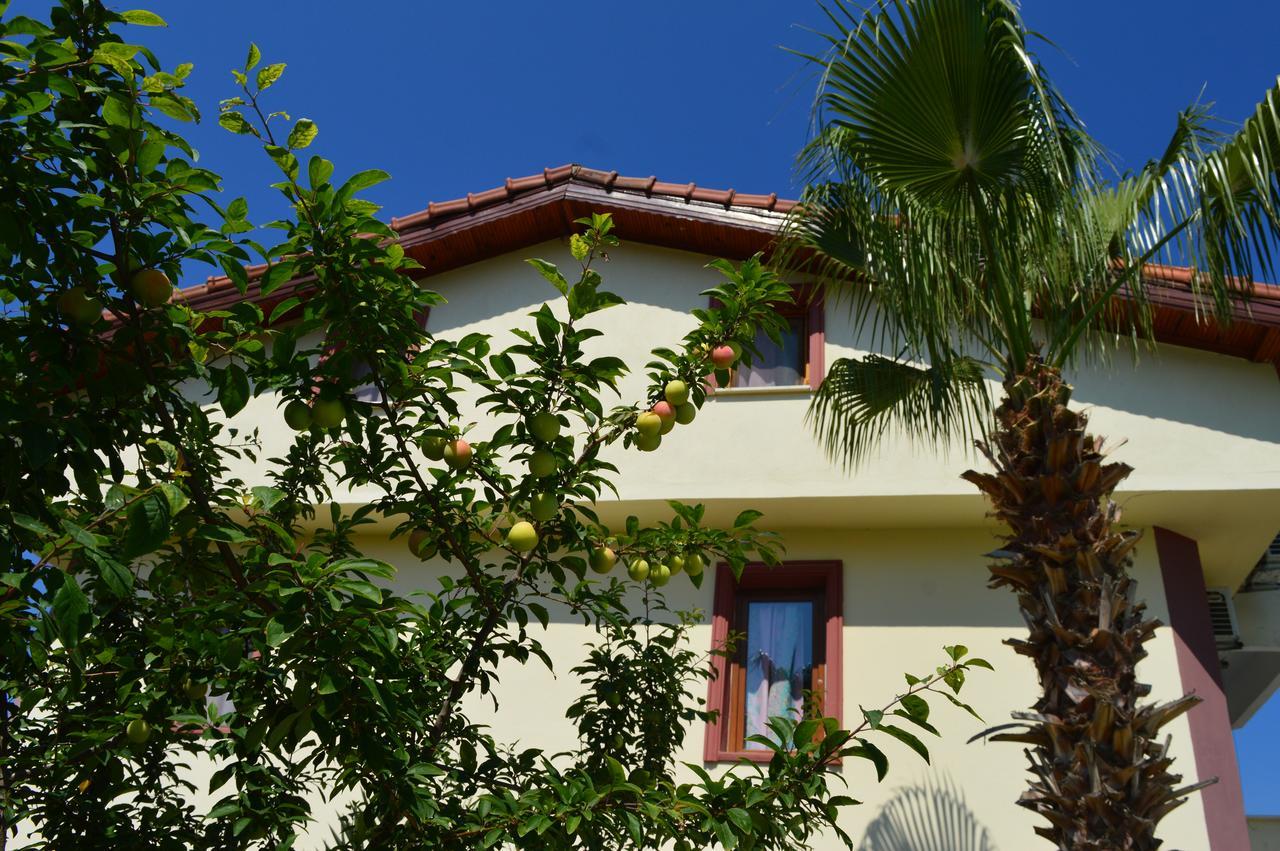 Erasmus Aparthotel *
