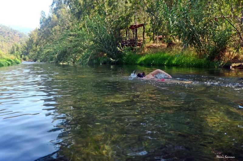 Farm stay Pastoral Vadi Yaniklar