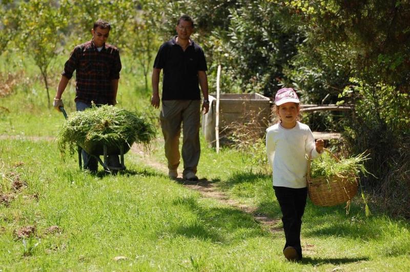 Pastoral Vadi Farm stay