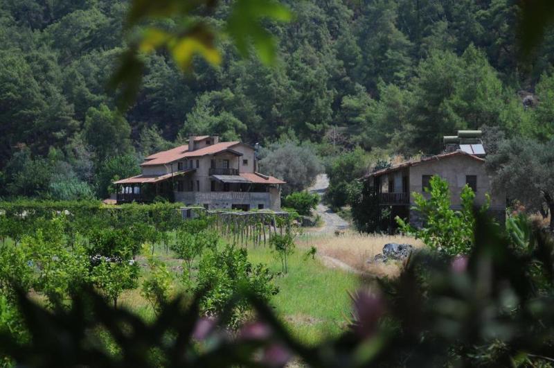 Pastoral Vadi Farm stay Yaniklar