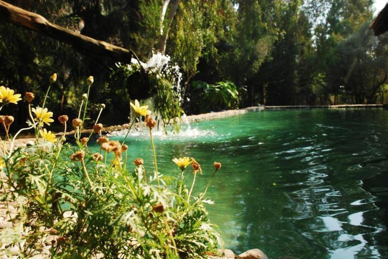 Pastoral Vadi Farm stay *