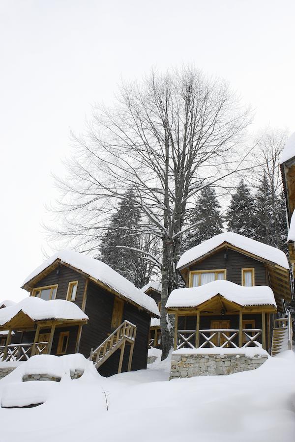 Resort Zitas Zigana Yayla Tatil Koyu 3*