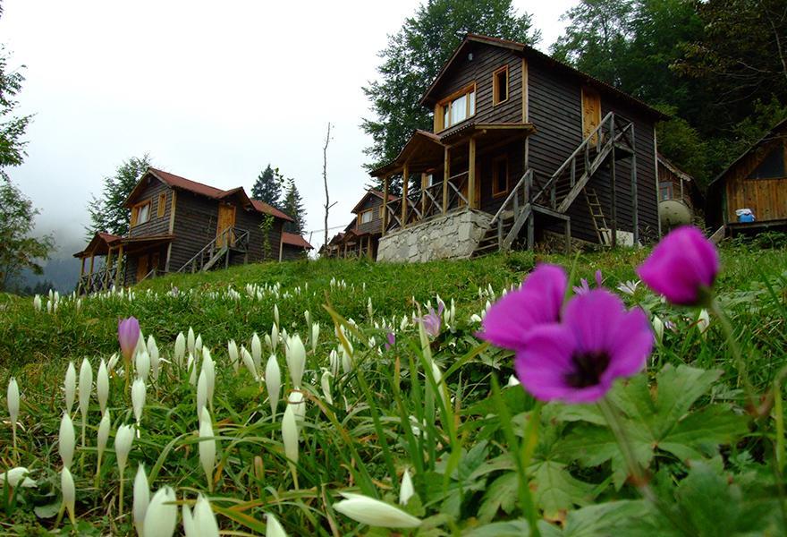 Zitas Zigana Yayla Tatil Koyu Macka