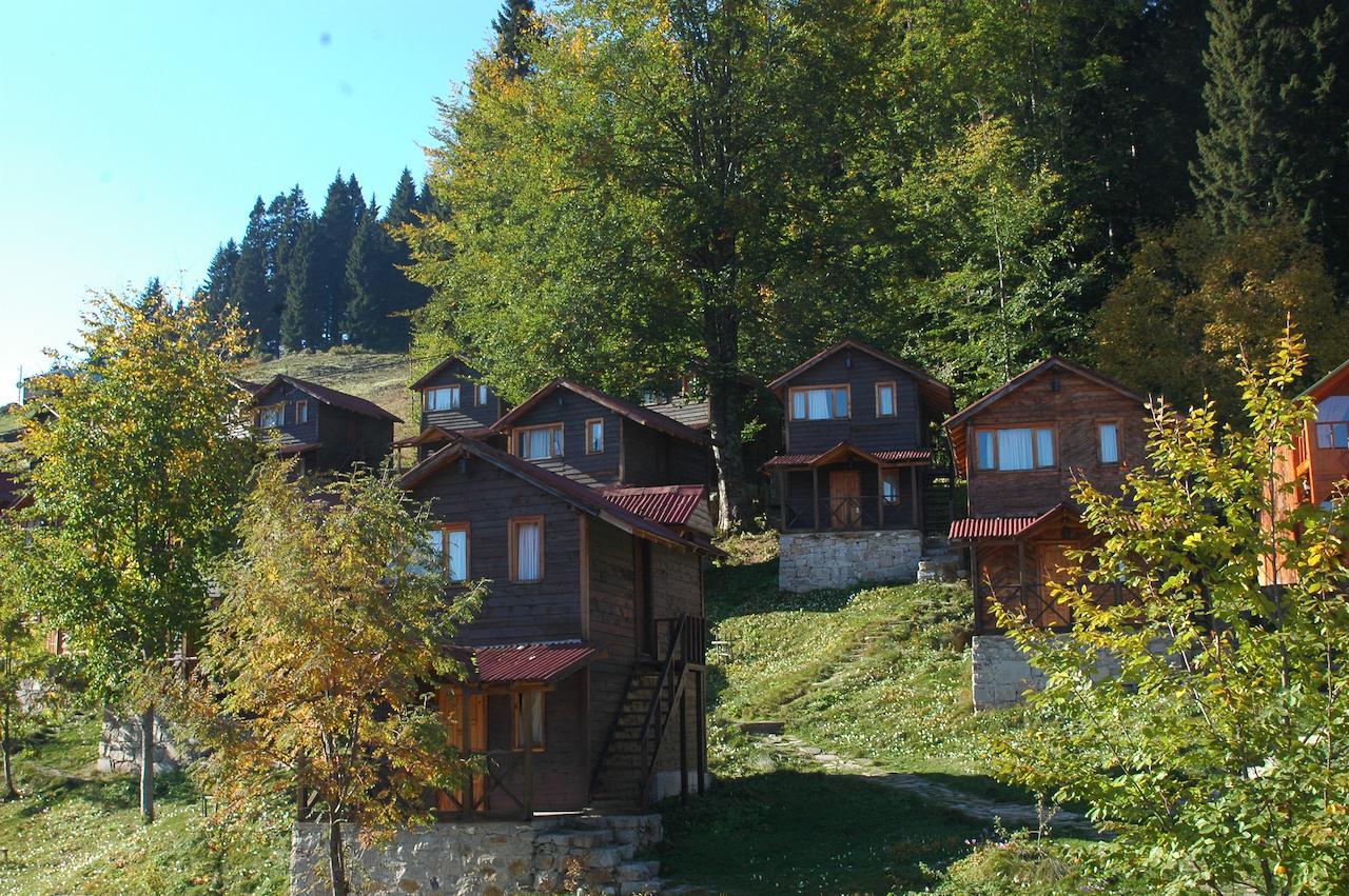 Zitas Zigana Yayla Tatil Koyu Resort