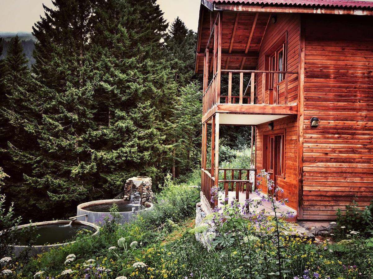 Zitas Zigana Yayla Tatil Koyu Resort Macka