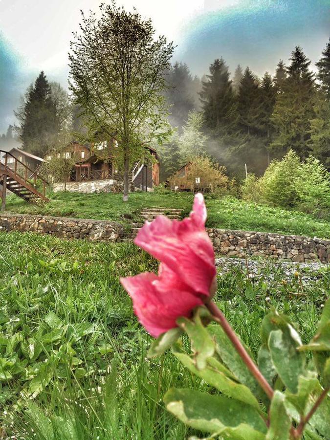 Resort Zitas Zigana Yayla Tatil Koyu