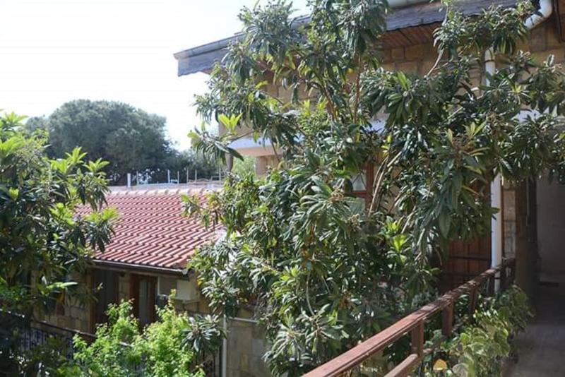 Antonios Bed & Breakfast 2*