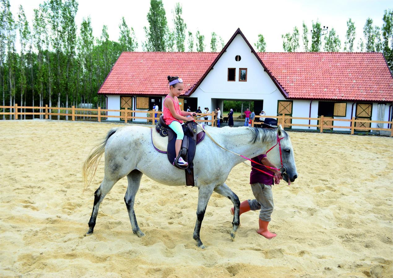 Golkoy Yasam Hotel Kastamonu