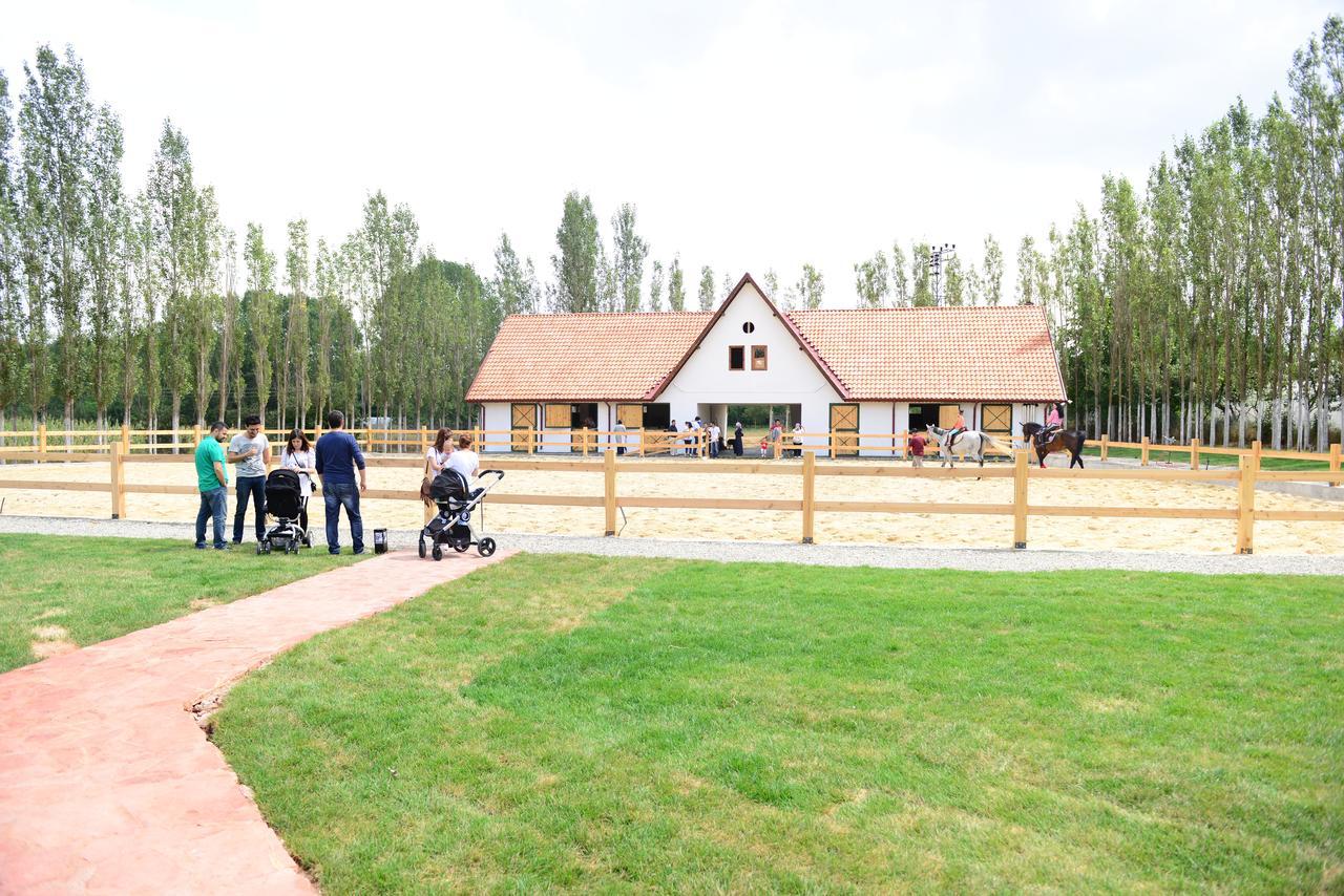 Golkoy Yasam