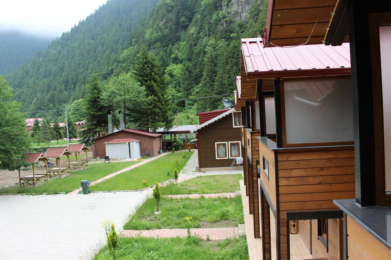 Selale Lodge Uzungol
