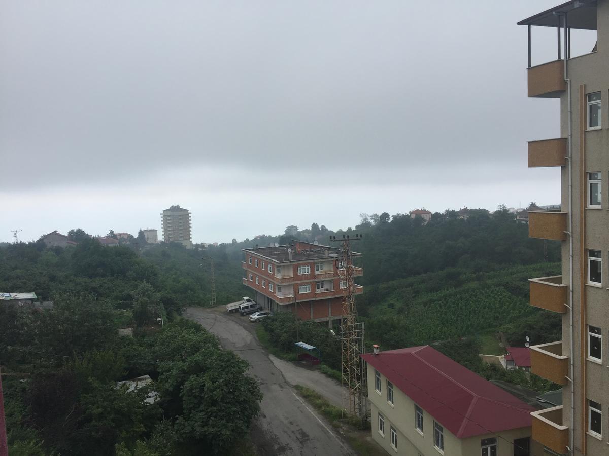 Nature & Apartment