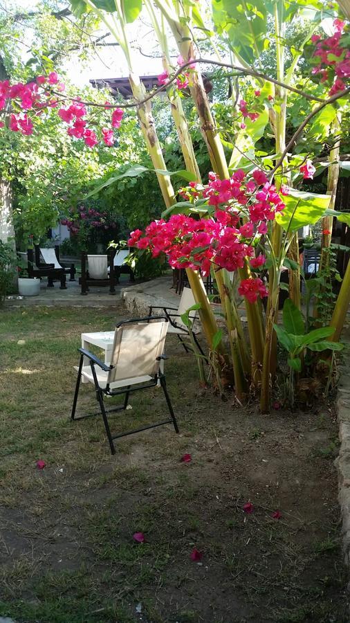Aparthotel Mono